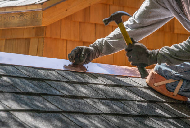Best Roof Moss and Algae Removal  in Belle Plaine, IA